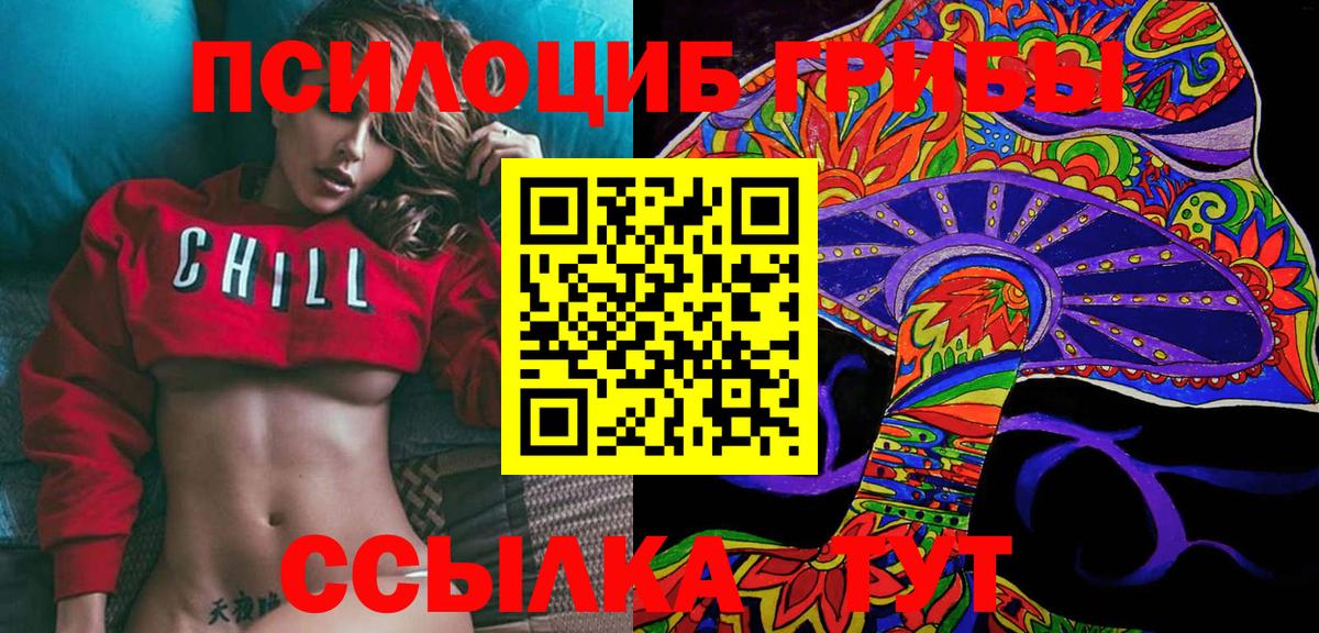 Псилоцибиновые грибы Psilocybine cubensis Арзамас