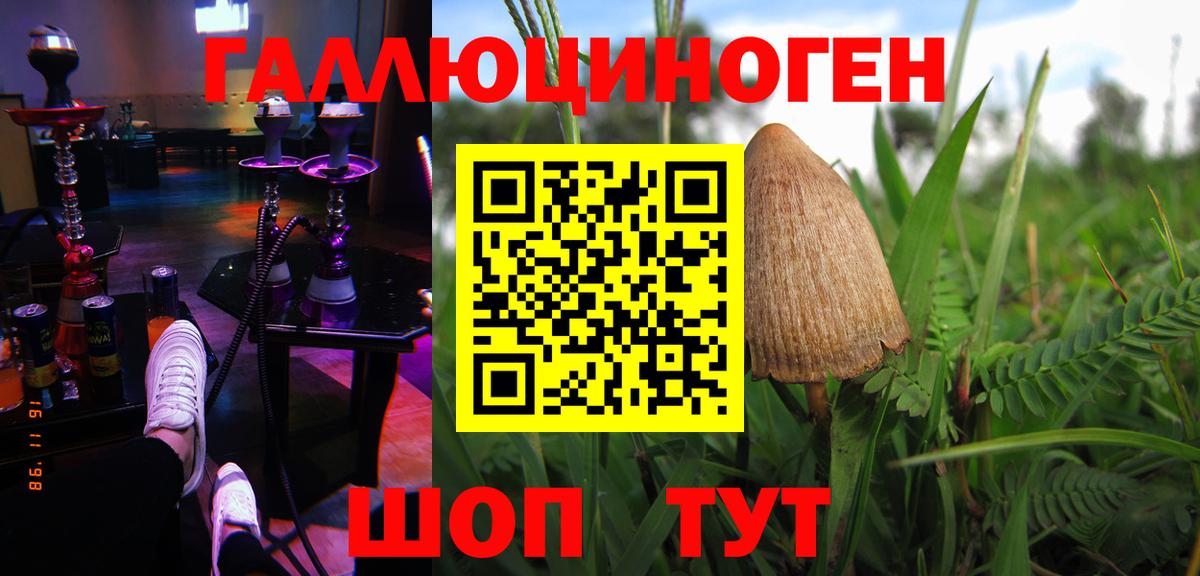 что такое наркотик  Псилоцибиновые грибы Psilocybe  Вход с VPN  Арзамас 